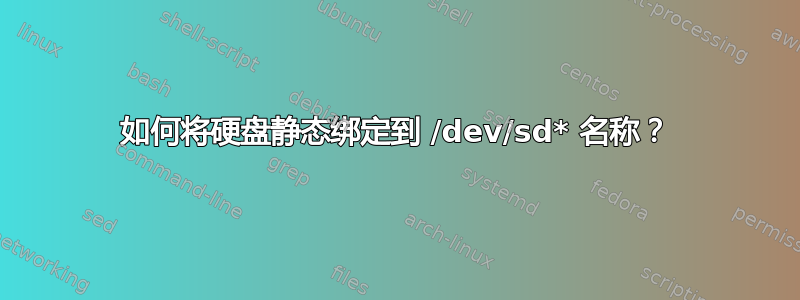 如何将硬盘静态绑定到 /dev/sd* 名称？