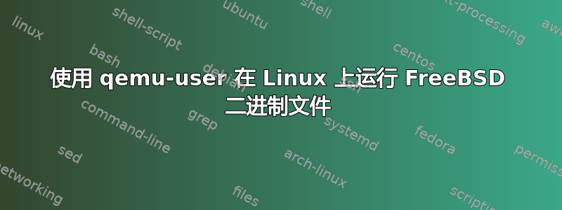 使用 qemu-user 在 Linux 上运行 FreeBSD 二进制文件