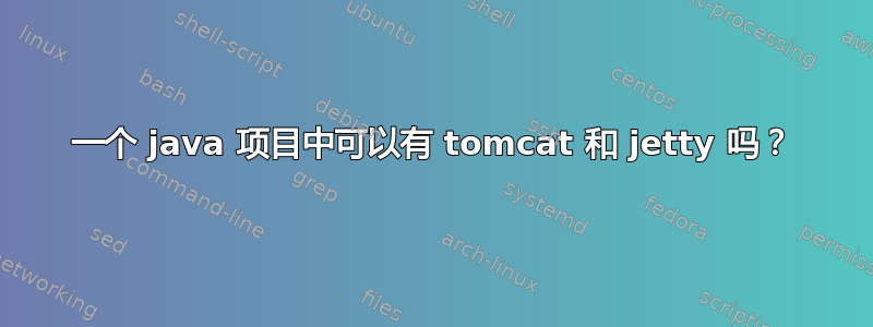 一个 java 项目中可以有 tomcat 和 jetty 吗？