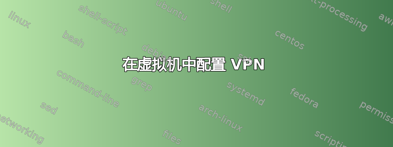 在虚拟机中配置 VPN