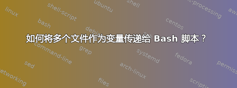 如何将多个文件作为变量传递给 Bash 脚本？