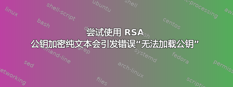 尝试使用 RSA 公钥加密纯文本会引发错误“无法加载公钥”