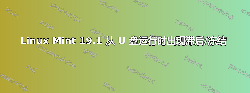 Linux Mint 19.1 从 U 盘运行时出现滞后/冻结