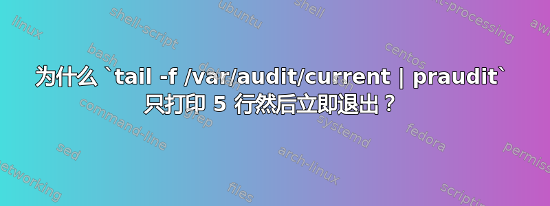 为什么 `tail -f /var/audit/current | praudit` 只打印 5 行然后立即退出？