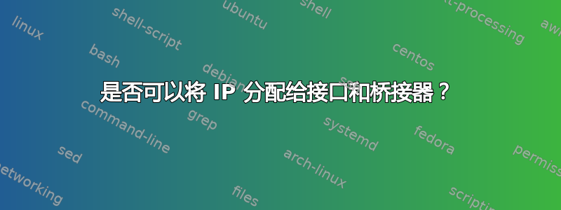 是否可以将 IP 分配给接口和桥接器？