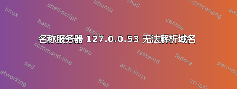 名称服务器 127.0.0.53 无法解析域名