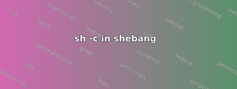 sh -c in shebang 