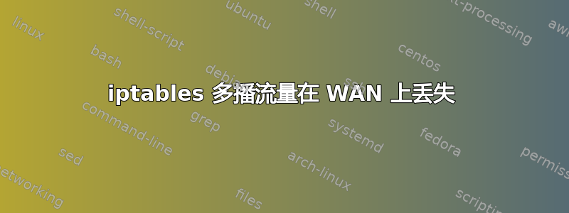 iptables 多播流量在 WAN 上丢失