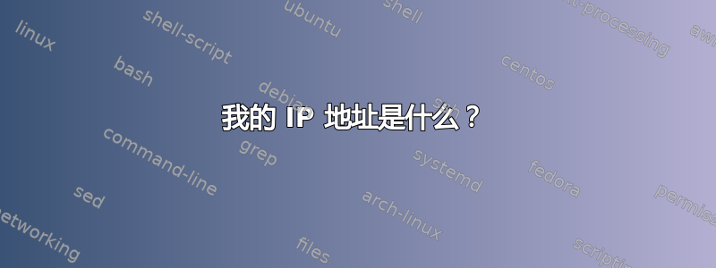 我的 IP 地址是什么？