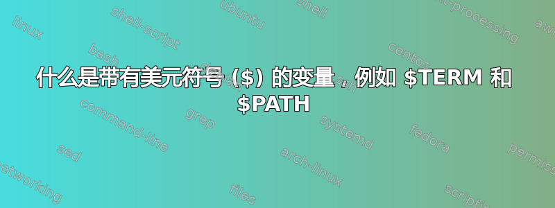 什么是带有美元符号 ($) 的变量，例如 $TERM 和 $PATH