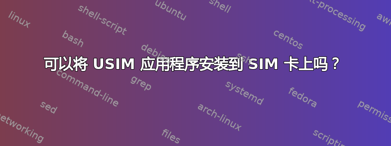 可以将 USIM 应用程序安装到 SIM 卡上吗？