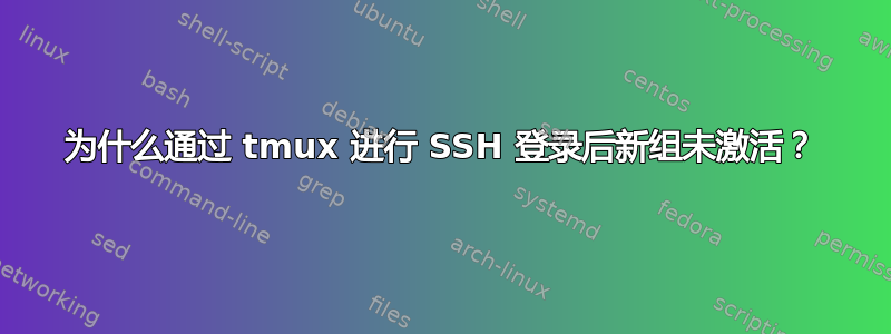 为什么通过 tmux 进行 SSH 登录后新组未激活？