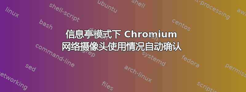 信息亭模式下 Chromium 网络摄像头使用情况自动确认