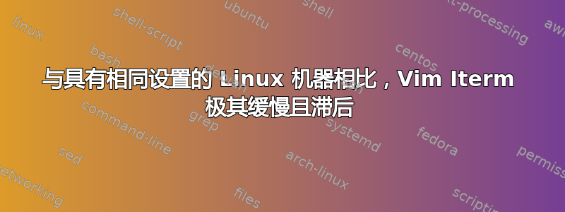 与具有相同设置的 Linux 机器相比，Vim Iterm 极其缓慢且滞后