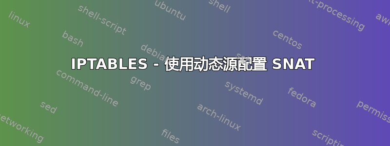 IPTABLES - 使用动态源配置 SNAT