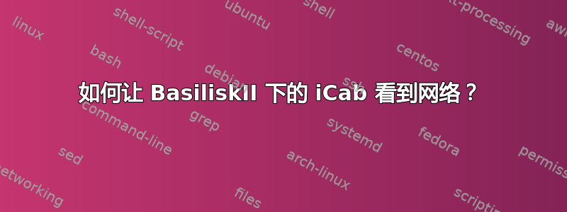 如何让 BasiliskII 下的 iCab 看到网络？