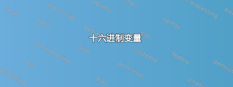 十六进制变量