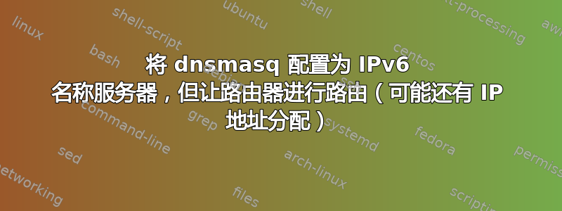 将 dnsmasq 配置为 IPv6 名称服务器，但让路由器进行路由（可能还有 IP 地址分配）