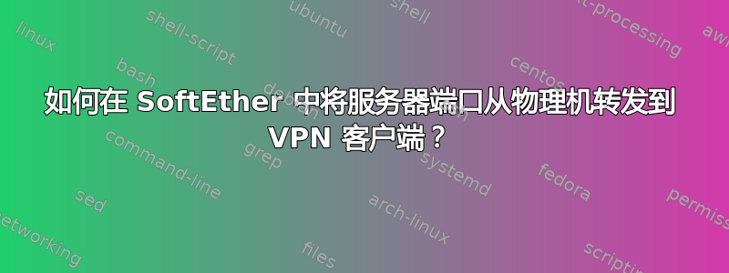 如何在 SoftEther 中将服务器端口从物理机转发到 VPN 客户端？