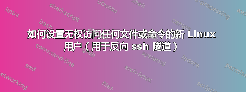 如何设置无权访问任何文件或命令的新 Linux 用户（用于反向 ssh 隧道）