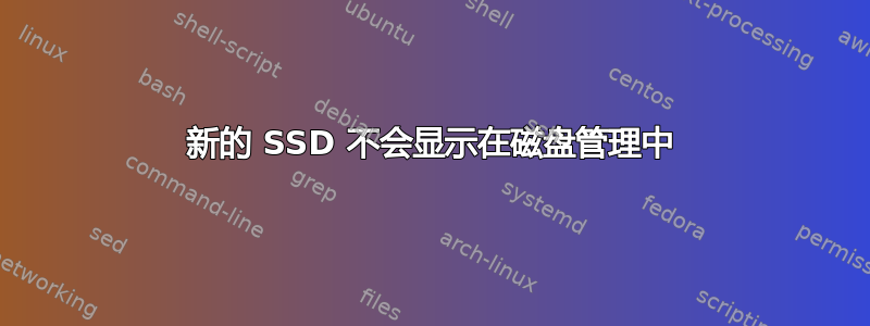 新的 SSD 不会显示在磁盘管理中