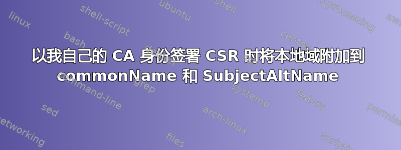 以我自己的 CA 身份签署 CSR 时将本地域附加到 commonName 和 SubjectAltName