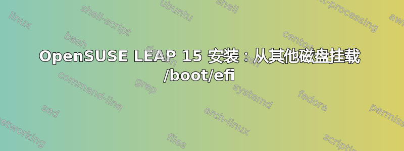 OpenSUSE LEAP 15 安装：从其他磁盘挂载 /boot/efi