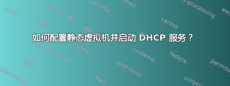 如何配置静态虚拟机并启动 DHCP 服务？