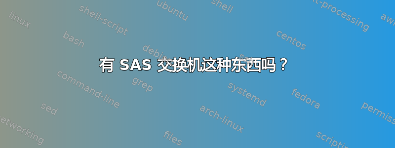 有 SAS 交换机这种东西吗？