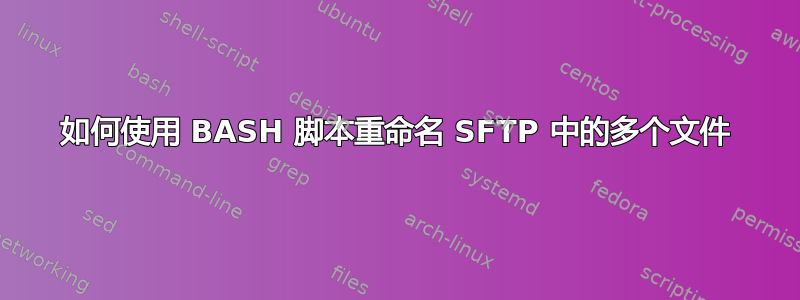 如何使用 BASH 脚本重命名 SFTP 中的多个文件