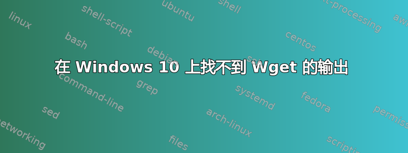 在 Windows 10 上找不到 Wget 的输出