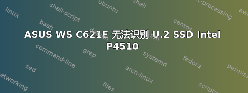 ASUS WS C621E 无法识别 U.2 SSD Intel P4510