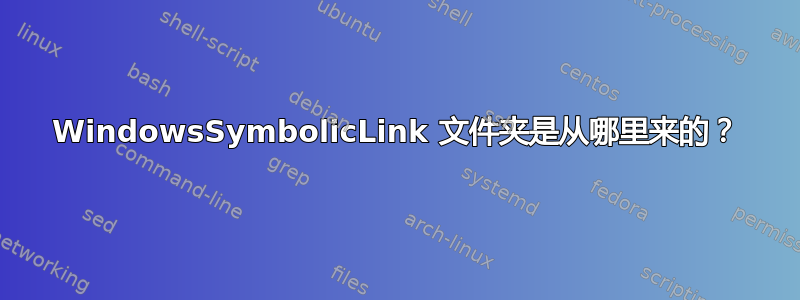 WindowsSymbolicLink 文件夹是从哪里来的？