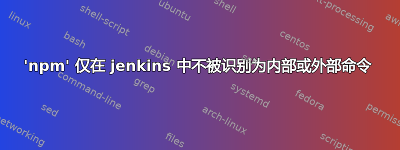 'npm' 仅在 jenkins 中不被识别为内部或外部命令