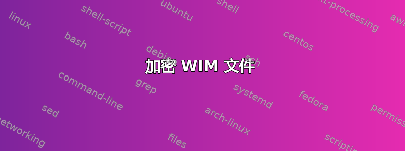 加密 WIM 文件