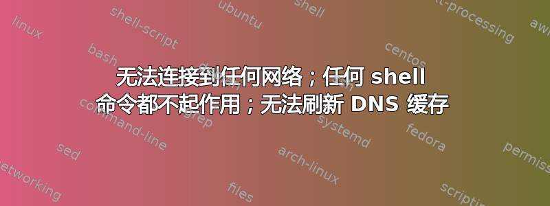 无法连接到任何网络；任何 shell 命令都不起作用；无法刷新 DNS 缓存