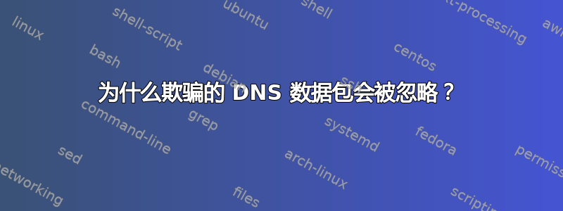 为什么欺骗的 DNS 数据包会被忽略？