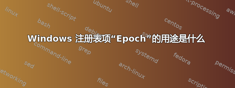 Windows 注册表项“Epoch”的用途是什么