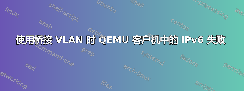 使用桥接 VLAN 时 QEMU 客户机中的 IPv6 失败