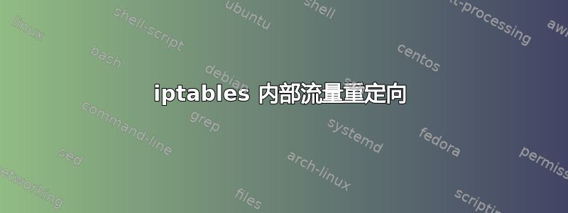 iptables 内部流量重定向