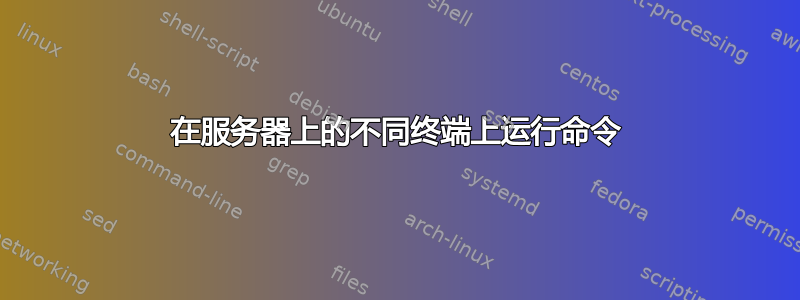 在服务器上的不同终端上运行命令