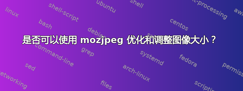 是否可以使用 mozjpeg 优化和调整图像大小？