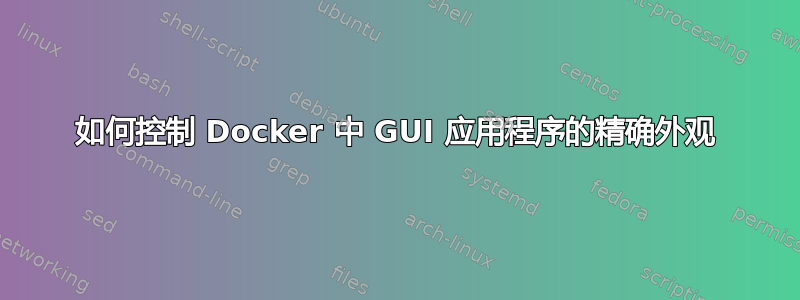 如何控制 Docker 中 GUI 应用程序的精确外观