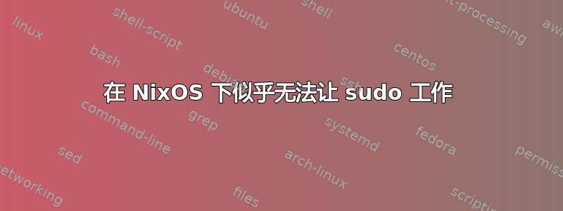 在 NixOS 下似乎无法让 sudo 工作
