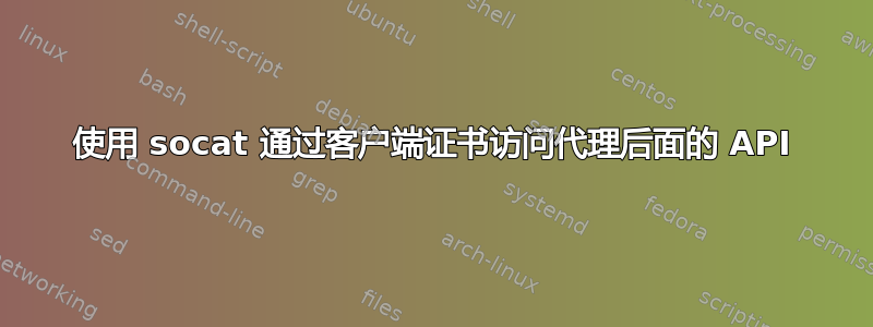 使用 socat 通过客户端证书访问代理后面的 API