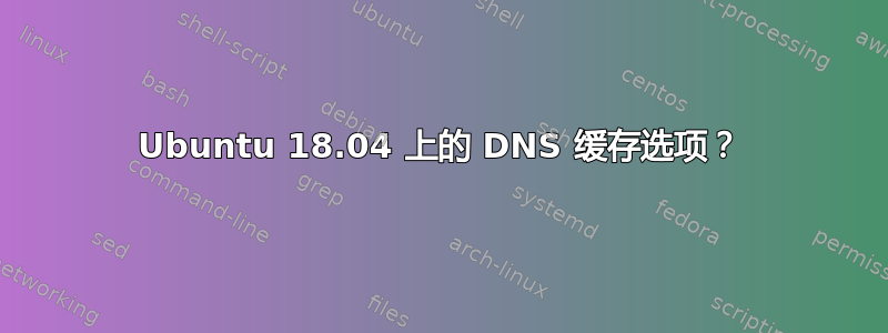 Ubuntu 18.04 上的 DNS 缓存选项？