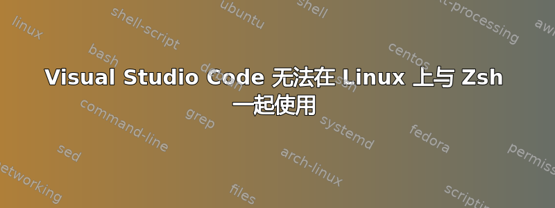 Visual Studio Code 无法在 Linux 上与 Zsh 一起使用