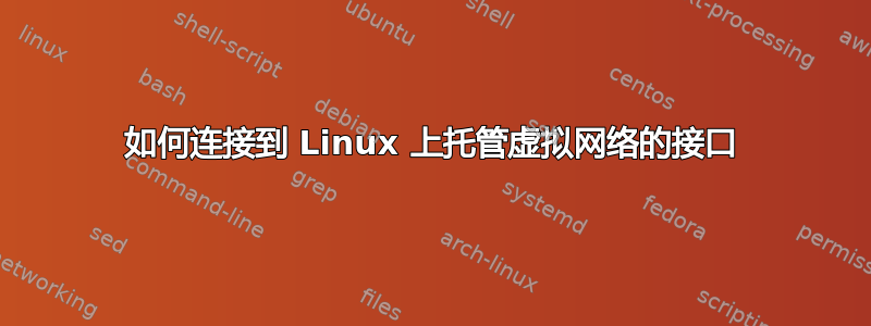 如何连接到 Linux 上托管虚拟网络的接口