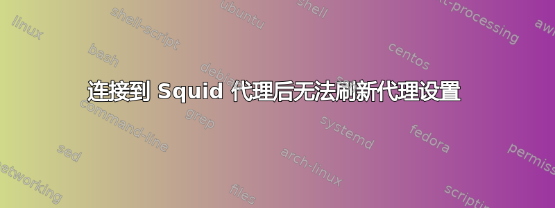 连接到 Squid 代理后无法刷新代理设置