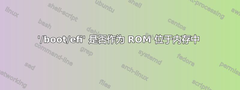 '/boot/efi' 是否作为 ROM 位于内存中